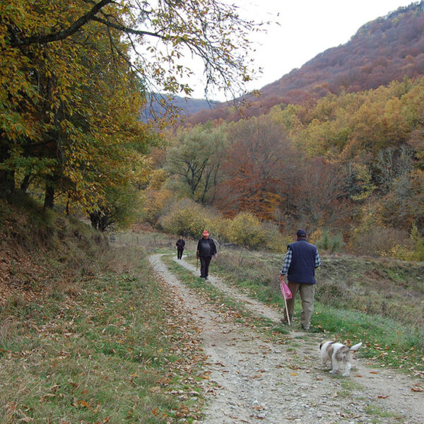 Vrachos est. 1925, historic apartments, restored apartments, guesthouse, Vrachos Kastoria accommodation, apartments for stay, self-catering apartments, Vrachos, Kastoria, Mount Odria, Western Macedonia, Greece travel, Greek countryside stay, fully-functional kitchen, shared outdoor patio, indoor lounge area, accessible apartment (PWD), nature and tradition, world-class stay, explore nature, traditional stay, getaway, vacation rental, vacation Greece, holiday in Greece, Greece travel, relaxing getaway, peaceful retreat, Greek holiday, romantic escape, family vacation Greece, short-term rental, accommodation with character, authentic Greek experience, mountain vacation, nature retreat, hiking in Greece, mountain biking, outdoor activities Greece, nature trails, scenic views, bird watching, eco-tourism, fresh mountain air, traditional Greek village, historic stay, cultural tourism, Greek heritage, local Greek life, winery tours, archaeological sites Kastoria, Vrachos est. 1925 vacation, apartments with a view, Vrachos Kastoria guesthouse, unique stay Greece, restored stone house, traditional architecture, patio garden stay, lounge area for guests.