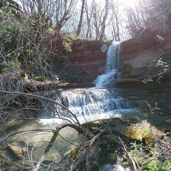 Vrachos est. 1925, historic apartments, restored apartments, guesthouse, Vrachos Kastoria accommodation, apartments for stay, self-catering apartments, Vrachos, Kastoria, Mount Odria, Western Macedonia, Greece travel, Greek countryside stay, fully-functional kitchen, shared outdoor patio, indoor lounge area, accessible apartment (PWD), nature and tradition, world-class stay, explore nature, traditional stay, getaway, vacation rental, vacation Greece, holiday in Greece, Greece travel, relaxing getaway, peaceful retreat, Greek holiday, romantic escape, family vacation Greece, short-term rental, accommodation with character, authentic Greek experience, mountain vacation, nature retreat, hiking in Greece, mountain biking, outdoor activities Greece, nature trails, scenic views, bird watching, eco-tourism, fresh mountain air, traditional Greek village, historic stay, cultural tourism, Greek heritage, local Greek life, winery tours, archaeological sites Kastoria, Vrachos est. 1925 vacation, apartments with a view, Vrachos Kastoria guesthouse, unique stay Greece, restored stone house, traditional architecture, patio garden stay, lounge area for guests.