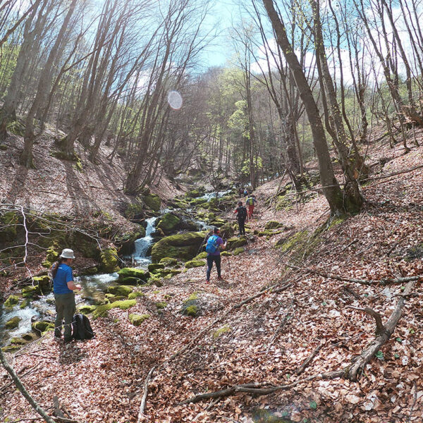 Vrachos est. 1925, historic apartments, restored apartments, guesthouse, Vrachos Kastoria accommodation, apartments for stay, self-catering apartments, Vrachos, Kastoria, Mount Odria, Western Macedonia, Greece travel, Greek countryside stay, fully-functional kitchen, shared outdoor patio, indoor lounge area, accessible apartment (PWD), nature and tradition, world-class stay, explore nature, traditional stay, getaway, vacation rental, vacation Greece, holiday in Greece, Greece travel, relaxing getaway, peaceful retreat, Greek holiday, romantic escape, family vacation Greece, short-term rental, accommodation with character, authentic Greek experience, mountain vacation, nature retreat, hiking in Greece, mountain biking, outdoor activities Greece, nature trails, scenic views, bird watching, eco-tourism, fresh mountain air, traditional Greek village, historic stay, cultural tourism, Greek heritage, local Greek life, winery tours, archaeological sites Kastoria, Vrachos est. 1925 vacation, apartments with a view, Vrachos Kastoria guesthouse, unique stay Greece, restored stone house, traditional architecture, patio garden stay, lounge area for guests.
