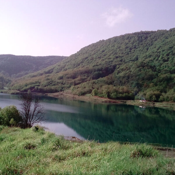 Vrachos est. 1925, historic apartments, restored apartments, guesthouse, Vrachos Kastoria accommodation, apartments for stay, self-catering apartments, Vrachos, Kastoria, Mount Odria, Western Macedonia, Greece travel, Greek countryside stay, fully-functional kitchen, shared outdoor patio, indoor lounge area, accessible apartment (PWD), nature and tradition, world-class stay, explore nature, traditional stay, getaway, vacation rental, vacation Greece, holiday in Greece, Greece travel, relaxing getaway, peaceful retreat, Greek holiday, romantic escape, family vacation Greece, short-term rental, accommodation with character, authentic Greek experience, mountain vacation, nature retreat, hiking in Greece, mountain biking, outdoor activities Greece, nature trails, scenic views, bird watching, eco-tourism, fresh mountain air, traditional Greek village, historic stay, cultural tourism, Greek heritage, local Greek life, winery tours, archaeological sites Kastoria, Vrachos est. 1925 vacation, apartments with a view, Vrachos Kastoria guesthouse, unique stay Greece, restored stone house, traditional architecture, patio garden stay, lounge area for guests.