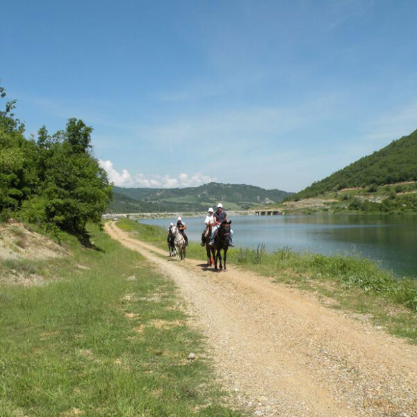 Vrachos est. 1925, historic apartments, restored apartments, guesthouse, Vrachos Kastoria accommodation, apartments for stay, self-catering apartments, Vrachos, Kastoria, Mount Odria, Western Macedonia, Greece travel, Greek countryside stay, fully-functional kitchen, shared outdoor patio, indoor lounge area, accessible apartment (PWD), nature and tradition, world-class stay, explore nature, traditional stay, getaway, vacation rental, vacation Greece, holiday in Greece, Greece travel, relaxing getaway, peaceful retreat, Greek holiday, romantic escape, family vacation Greece, short-term rental, accommodation with character, authentic Greek experience, mountain vacation, nature retreat, hiking in Greece, mountain biking, outdoor activities Greece, nature trails, scenic views, bird watching, eco-tourism, fresh mountain air, traditional Greek village, historic stay, cultural tourism, Greek heritage, local Greek life, winery tours, archaeological sites Kastoria, Vrachos est. 1925 vacation, apartments with a view, Vrachos Kastoria guesthouse, unique stay Greece, restored stone house, traditional architecture, patio garden stay, lounge area for guests.
